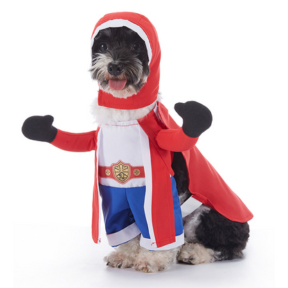 Various -Halloween Dog Costumes