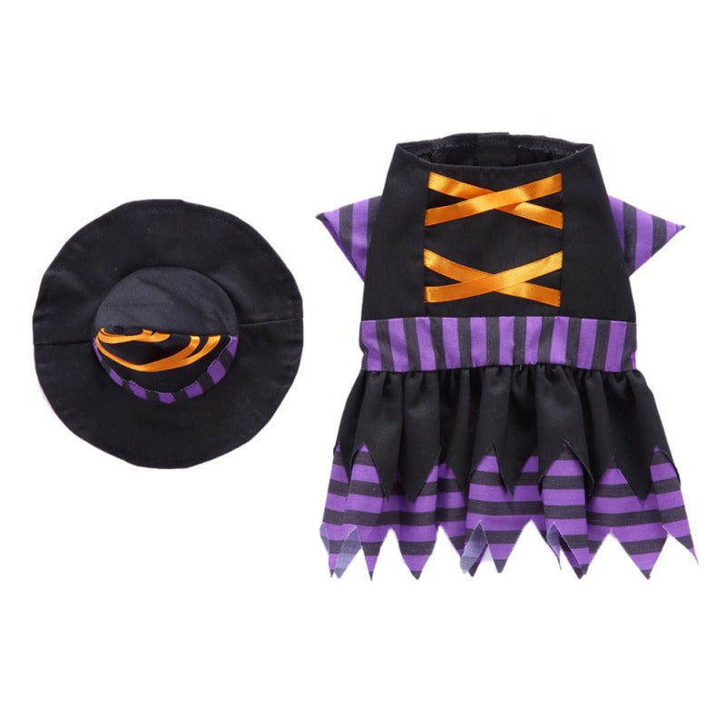 Spooky Halloween Witch costume Dogs