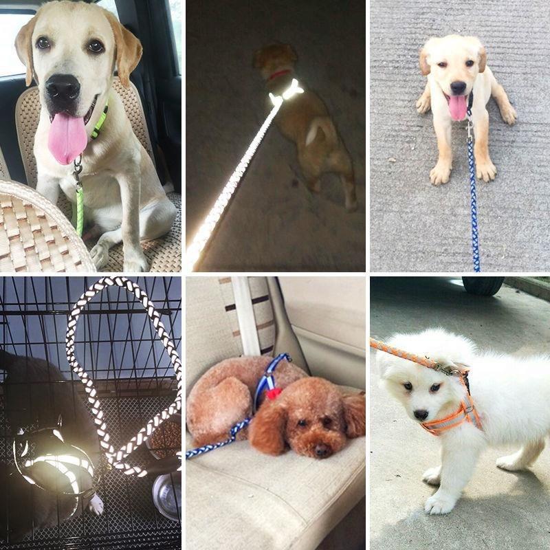 Dog Reflective Leash collar chest set