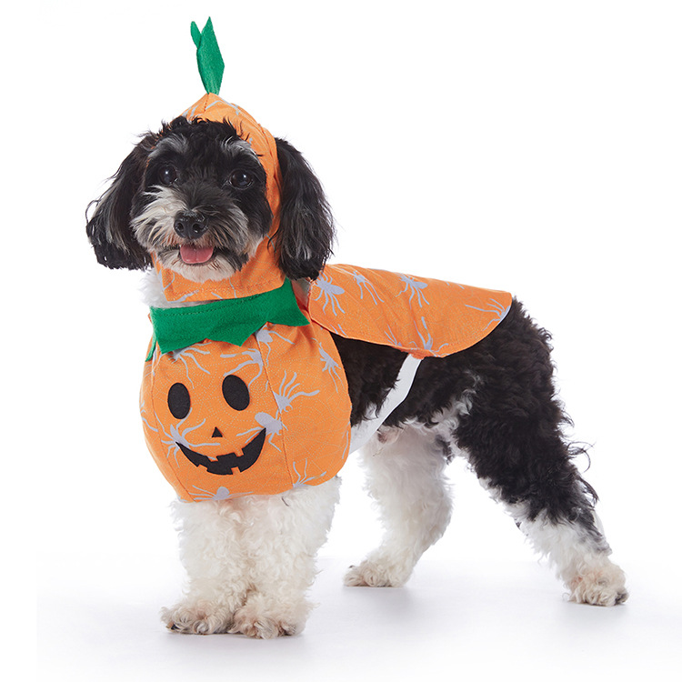 Various -Halloween Dog Costumes