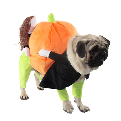 Pumpkin Outfit for Cats & dogs
