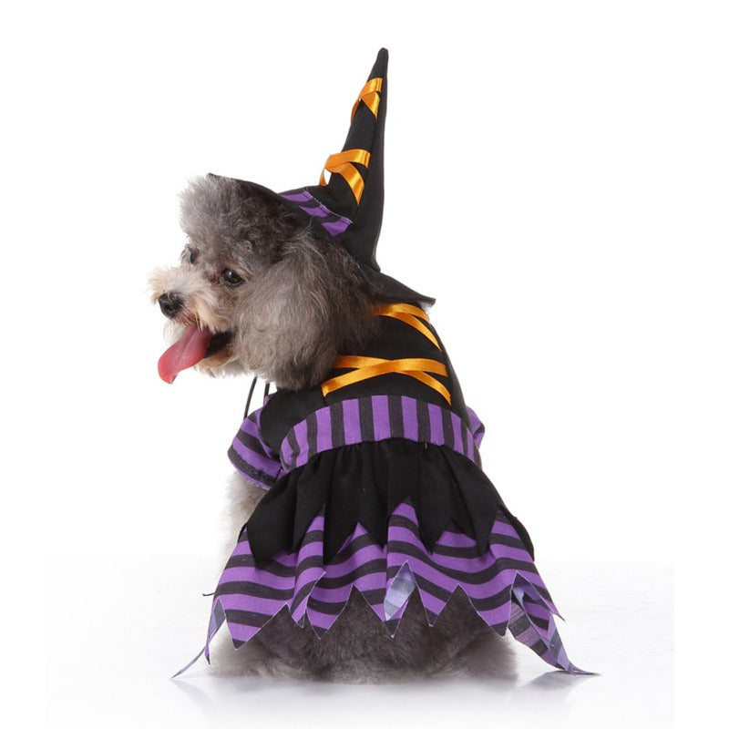 Spooky Halloween Witch costume Dogs