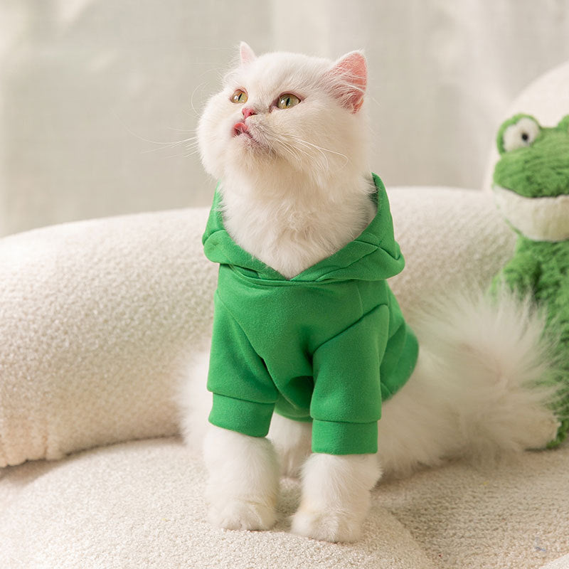 Cat 'DINO-SCARE' Hoodie