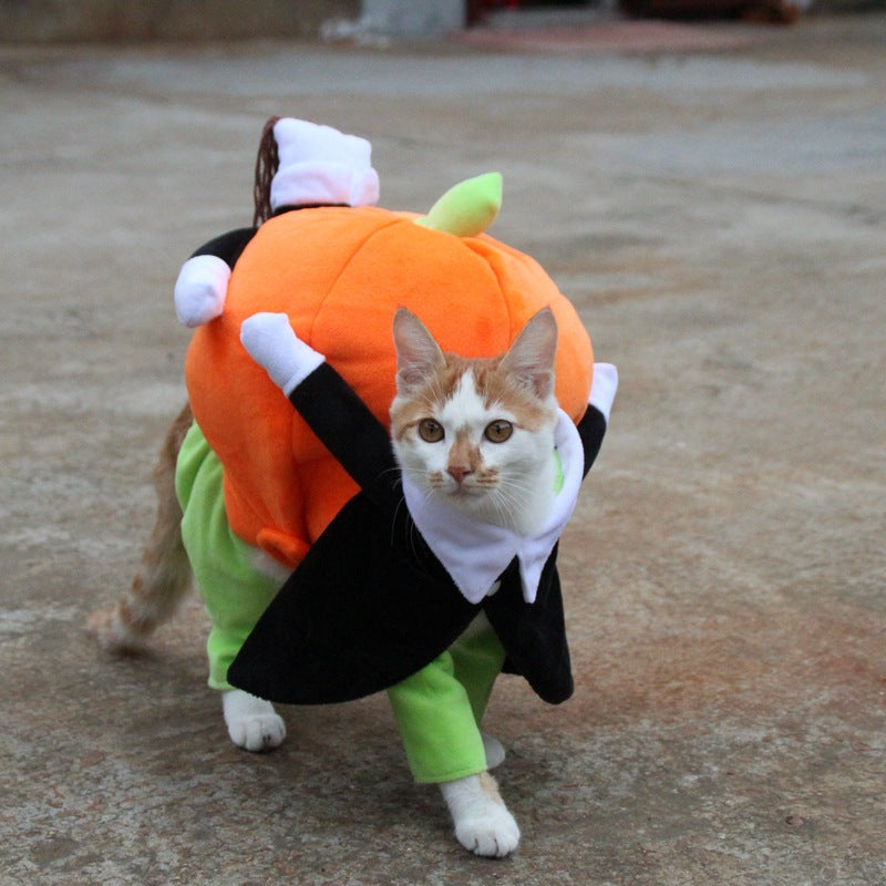 Pumpkin Outfit for Cats & dogs