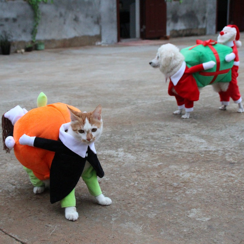 Pumpkin Outfit for Cats & dogs