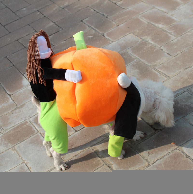 Pumpkin Outfit for Cats & dogs